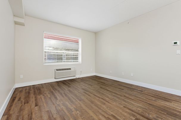 For Lease - 149 Main Street Unit# 203, Hamilton, Ontario - Photo 1