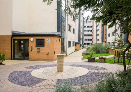 Gold Studio Plus - Photo 5