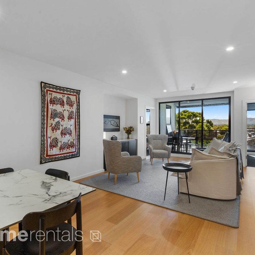 Executive Furnished Apartment on Hurtle Square - Photo 1