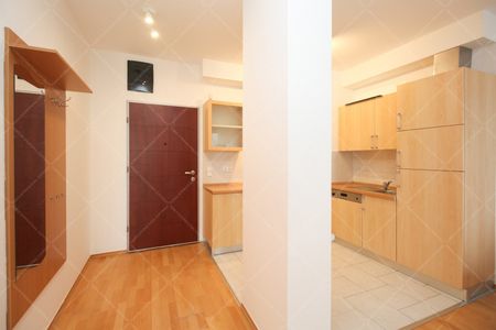 Danubius utca, Danube Panoramic | Property for Long Term Rent in Budapest - Photo 5
