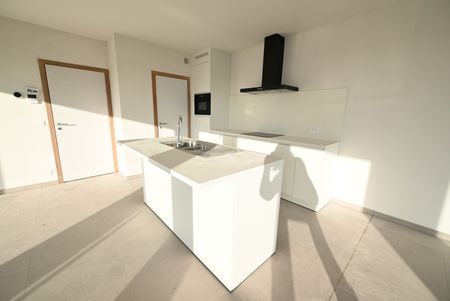 RUIM (105,99m²) & LICHTRIJK 2-slpkm app nabij CENTRUM - Photo 4