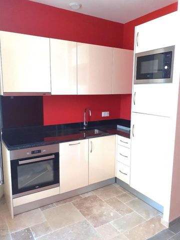 Location Appartement 1 pièce 31m² PUISSEGUIN 33570 - Photo 3