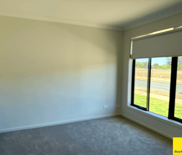 Stylish, Spacious and Brand New in Sought-After Silkwater Plains - Photo 1