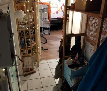 Wohnung 58 qm, 2,5 Zi, 780€ Warm, Feldstr-Waitzstr - Foto 1