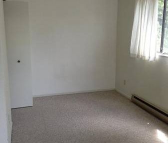 Bachelor Apartment for Rent Near Downtown Victoria - Photo 3