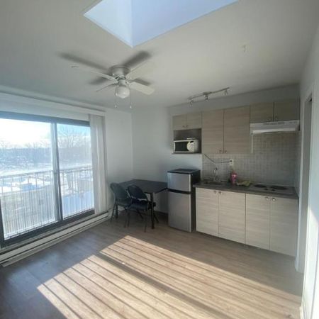 1 1/2 - Montréal (La Petite-Patrie) - 950 $/mois - Photo 3