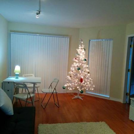 Bright Furnished 1Br+Den Close to VGH - Photo 3