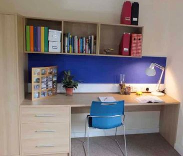 Deluxe Studio - Photo 1