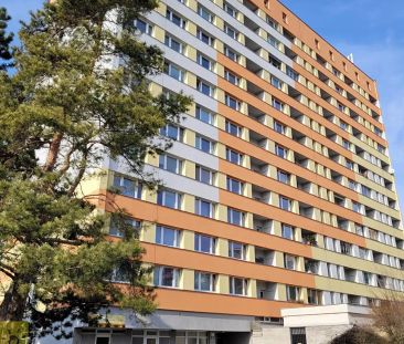 Pronájem bytu 1+kk 24 m² - Photo 3