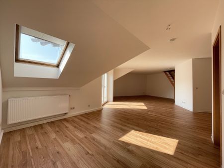 Single-Wohnung: Sonniger Balkon + Extra-Stauraum + Aufzug! - Foto 3