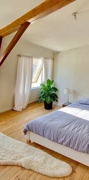 A LOUER - NANTES CATHÉDRALE - Appartement 2 pièces de 54.50 m² (60.60 m² au sol) - Photo 2