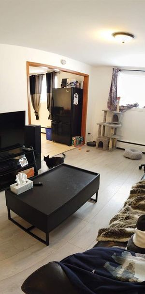 1 CH - 1 SDB - Québec - $967 /mo - Photo 1