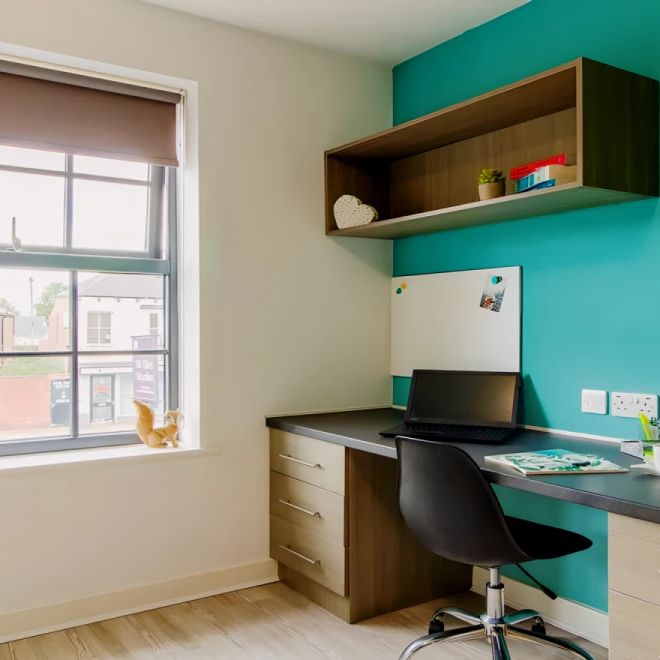 Standard Studio - Photo 1