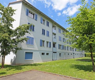 Wohnen im Grünen – Grosszügige Familienwohnung in den Langen Erlen - Photo 5