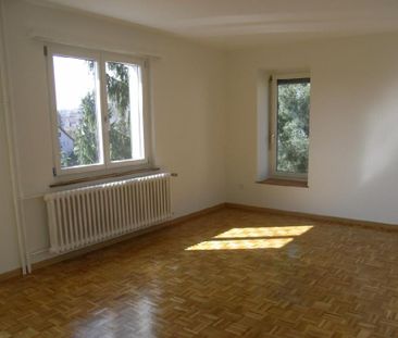 Im Gräfler - Photo 4