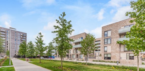 studio apartment to rent - Photo 2