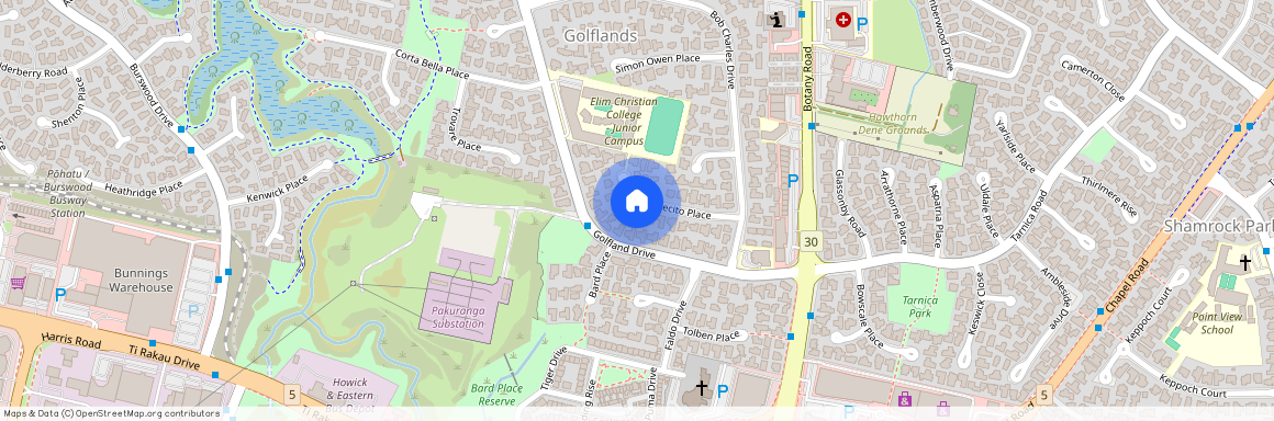 18 Montecito Place, Golflands, Manukau City