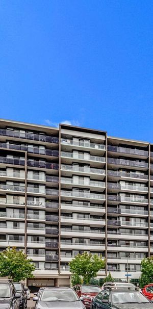 155/7 Irving Street, Phillip ACT 2606 - Apartment For Rent | Domain - Photo 1