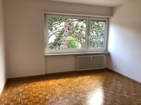 3 Zimmer, 63 m², EG - Photo 1