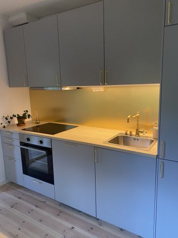 Östra Ågatan, Uppsala - Photo 4