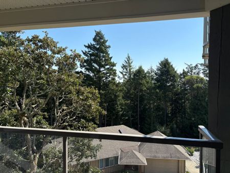 424 Pelican Drive, Colwood - 2 - Photo 4