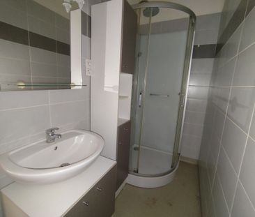 Location Appartement 3 pièces 64m² CHAVANAY 42410 - Photo 6