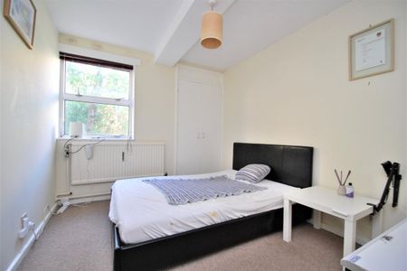 Ballance Street - Photo 2