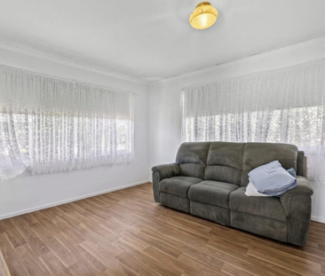 🏡 FOR RENT I 66 Clare Street, Kingston - Photo 1