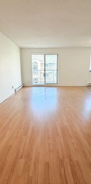 Antoine-du Verdier Appartement 4 ½ à Louer Sainte-Foy / Sillery Août 2026 - Photo 1