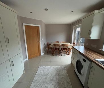 10 Beech Meadows, Waringstown, BT66 7UL - Photo 6