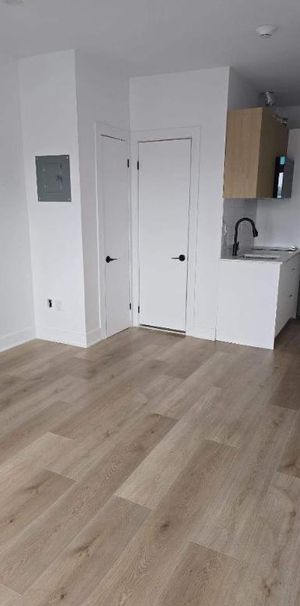 1 CH - 1 SDB - Montréal - $1,190 /mo - Photo 1