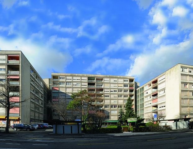 Malagnou - Champel - Appartement au 8ème étage en attique - Foto 1
