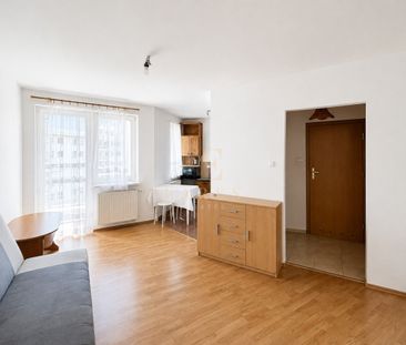 Balkon | Zamknięte osiedle | Zwierzęta akceptowane - Photo 1