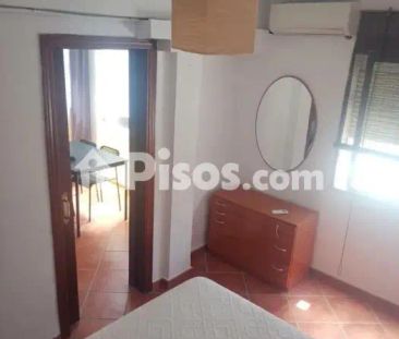 Piso en alquiler en Cruz de Humilladero- Paseo de los Tilos - Photo 4