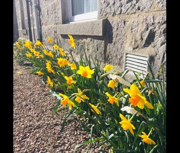 2 Bed Flat, Lamond Place, AB25 - Photo 4