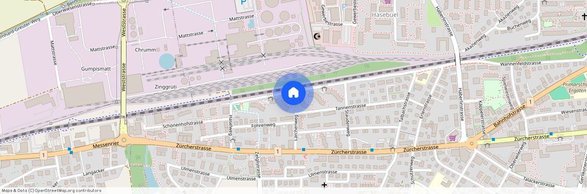 Wannenfeldstrasse 83, 8500 Frauenfeld