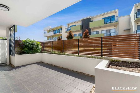 Ground level apartment with expansive courtyard - Photo 2