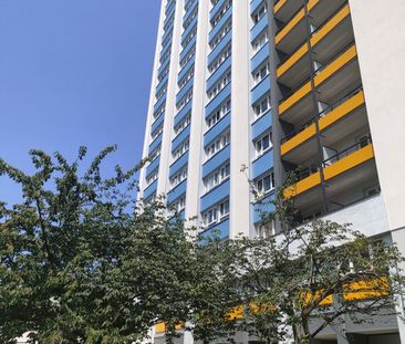 Appartement 1 pièce à Strasbourg - Photo 4