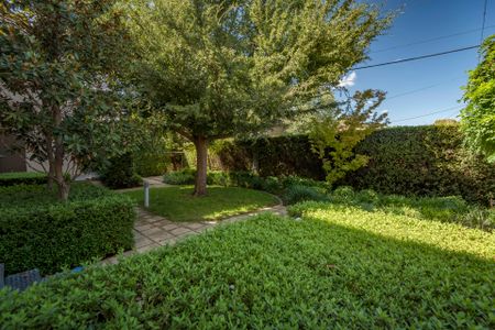 16/59 Lowanna Street, Braddon ACT 2612 - House For Rent | Domain - Photo 2