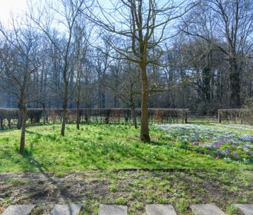 Spanderswoud 9 - Photo 3