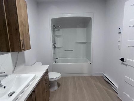 430 Boul. du Bord de l'Eau - Photo 4