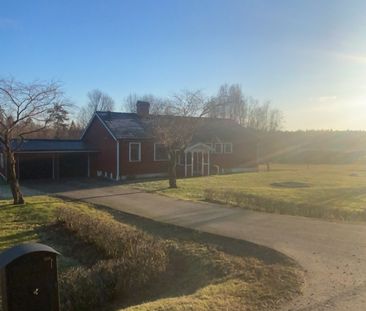 Lida Hönestorp, Ljung - Foto 2