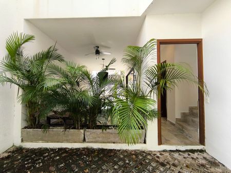 Selva Mia 2 - Photo 4