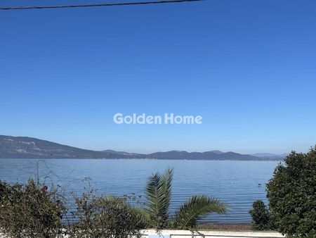 Μονοκατοικία για ενοικίαση Αρκίτσα (Δαφνούσες) - Φωτογραφία 4