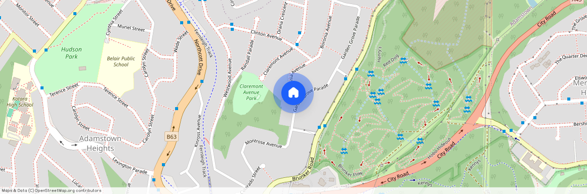 2/24 Garden Grove Pde, NSW 2289, Adamstown Heights