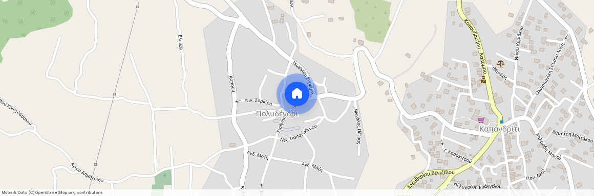 Κ. Καπανδριτίου, Κέντρο (Πολυδένδρι)