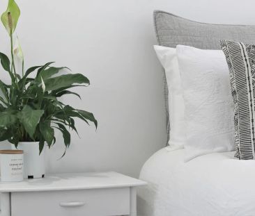 Tweed Heads South Gem! - Photo 6