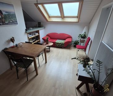 1 Zimmer, 80 m², 1. Stock - Photo 3