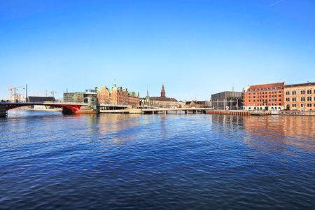 377m² Lejlighed | København K - Foto 5