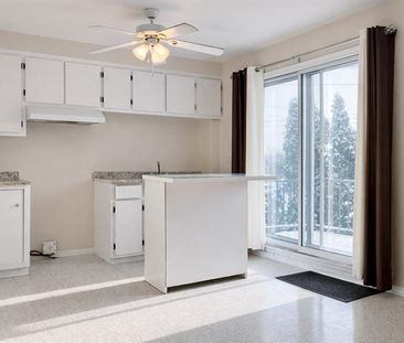 9422 Av. Hamelin - Photo 4